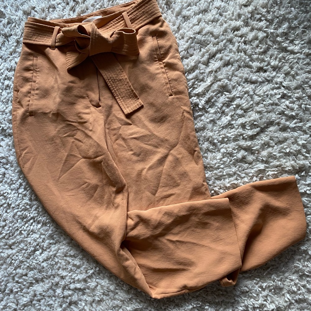 Aritzia muted orange pant